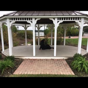 Meet your Posher, Jasmine